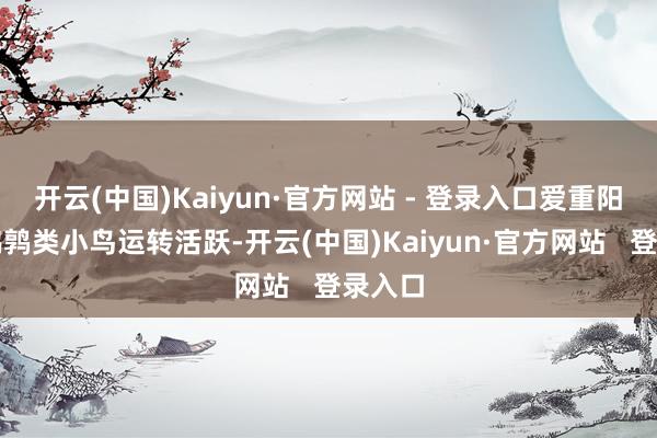开云(中国)Kaiyun·官方网站 - 登录入口爱重阳光的鹌鹑类小鸟运转活跃-开云(中国)Kaiyun·官方网站   登录入口