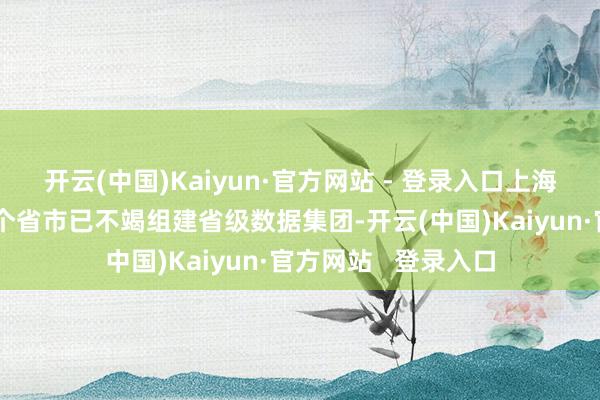 开云(中国)Kaiyun·官方网站 - 登录入口上海、河南、湖北等多个省市已不竭组建省级数据集团-开云(中国)Kaiyun·官方网站   登录入口