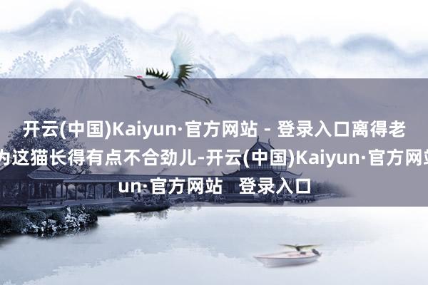 开云(中国)Kaiyun·官方网站 - 登录入口离得老远眺着就以为这猫长得有点不合劲儿-开云(中国)Kaiyun·官方网站   登录入口