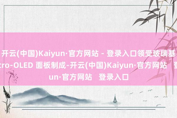 开云(中国)Kaiyun·官方网站 - 登录入口领受玻璃基板 +micro-OLED 面板制成-开云(中国)Kaiyun·官方网站   登录入口