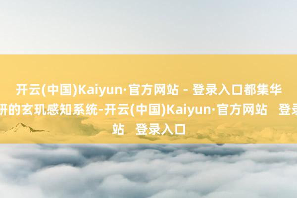 开云(中国)Kaiyun·官方网站 - 登录入口都集华为自研的玄玑感知系统-开云(中国)Kaiyun·官方网站   登录入口